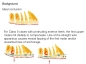Preview: XBT Klebe-Bukkalröhrchen zur Aufrichtung / Verankerung, Zahn 16, 26