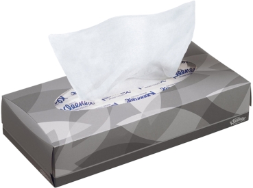Kleenex cosmetic bag. white 22x19cm 100pcs