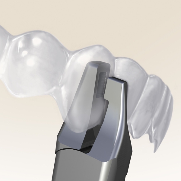 Ortho Clear Collection - The Vertical-Zange