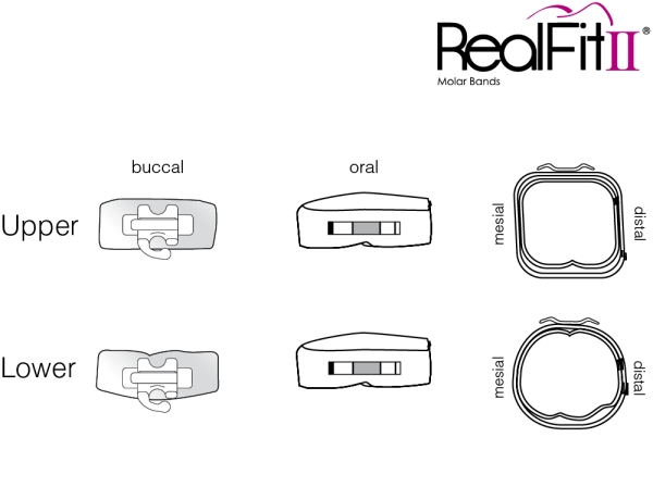 RealFit™ II snap - Intro Kit - Mandibular - Double combination incl. Lip bumper tube + lin. Sheath (tooth 46, 36) MBT* .018"