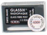 Glassix Aufbaustifte 1 1,0  6St